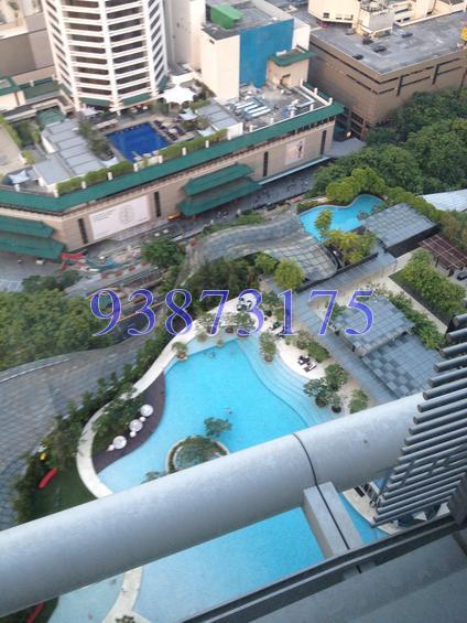 The Orchard Residences (D9), Apartment #124131902